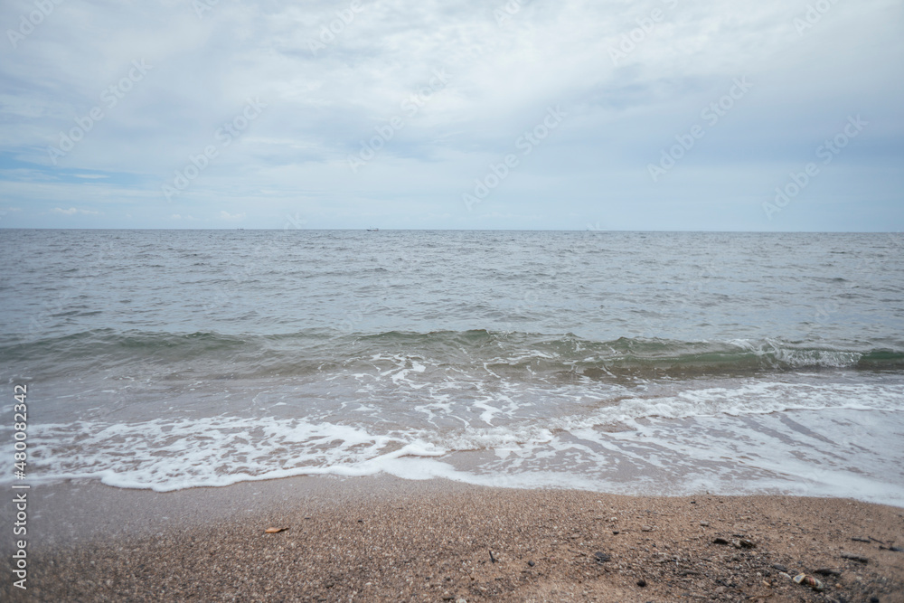 sea scape with sea wave, cloudy sky, mangrove forest and sandy beach when summer time. the photo perfect for holidays background, nature pamphlet and advertising brochure. sea scape with sea wave, cloudy sky, mangrove forest and sandy beach when summer time. the photo perfect for holidays background, nature pamphlet and advertising brochure.