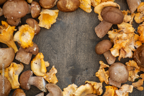 Porcini mushrooms and chanterelles lying on a dark wooden  background with an empty spot in the center. Place for text