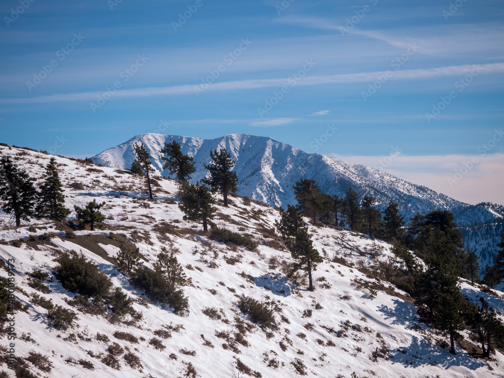 View of Snow Covered Mt Baldy from Inspiration Point