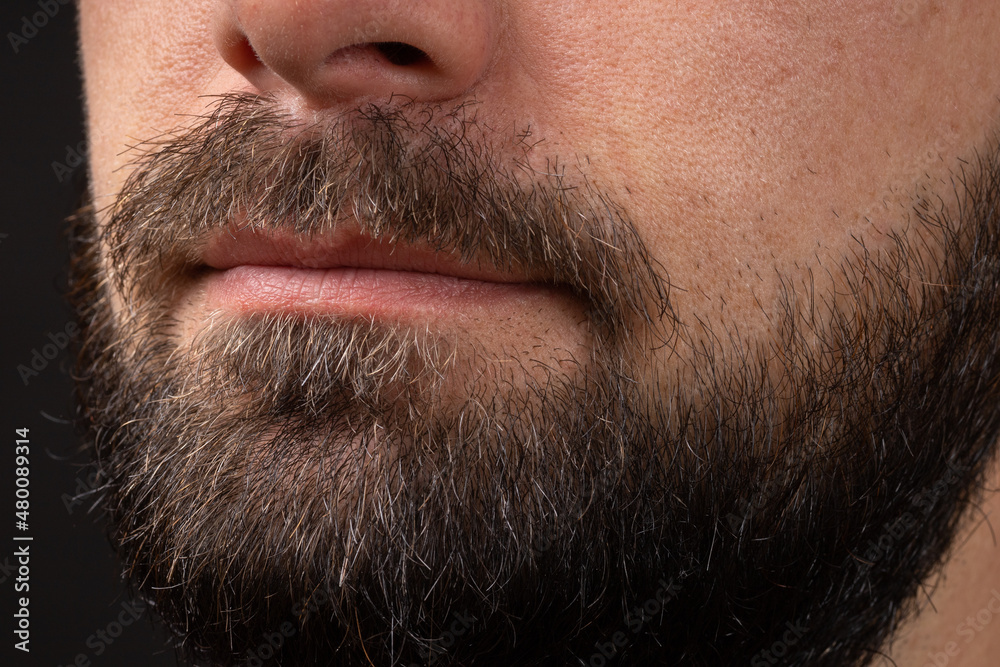 Neat beard. Close-up of bearded young man. Close up on handsome hipster male beard. Stylish well-groomed beard. Closeup bearded men. Neat beard. Close-up of bearded young man. Close up on handsome hipster male beard. Stylish well-groomed beard. Closeup bearded men.