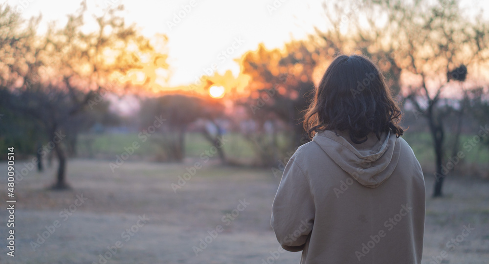 person watching the autumn sunset person watching the autumn sunset