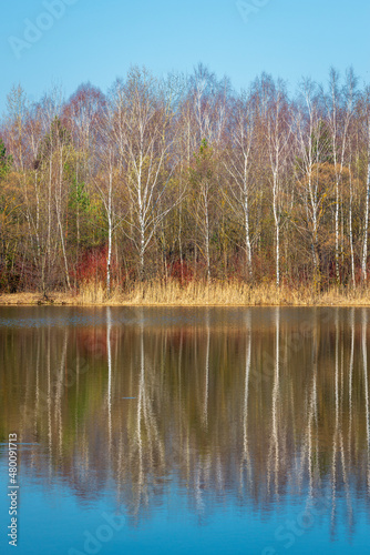 Zaslawskaye Reservoir near Minsk city on a sunny bright spring morning in Belarus photo
