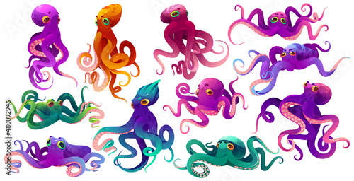 Cute color octopuses, sea animals with tentacles. Vector cartoon set of ocean invertebrates, marine animals, squid or kraken with suckers on hands. Funny octopuses isolated on white background