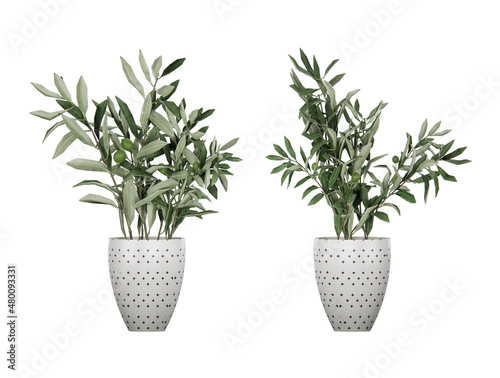 Isometric plant 3d rendering isolated