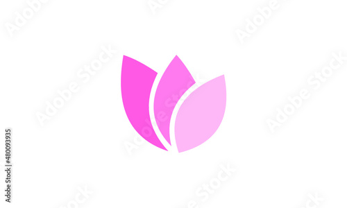 vector flower