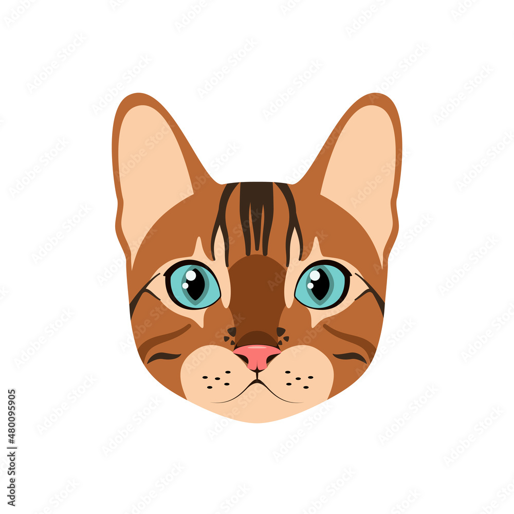 The head of a Bengal cat on a white background. Cartoon design.
