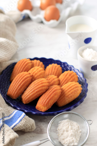 Madeleine cakes, french pastry.