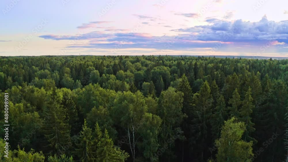 Flying Above Coniferous And Broadleaf Forest On Sunny Summer Day Flying Above Coniferous And Broadleaf Forest On Sunny Summer Day