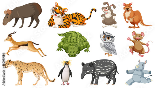 Set of different wild animals cartoon characters