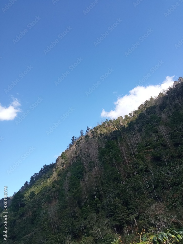 Fototapeta premium clouds over the mountains