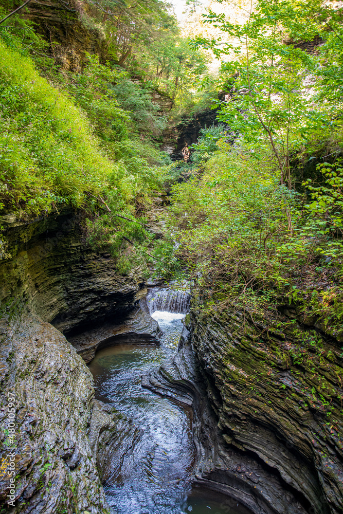 waterfall in the forest