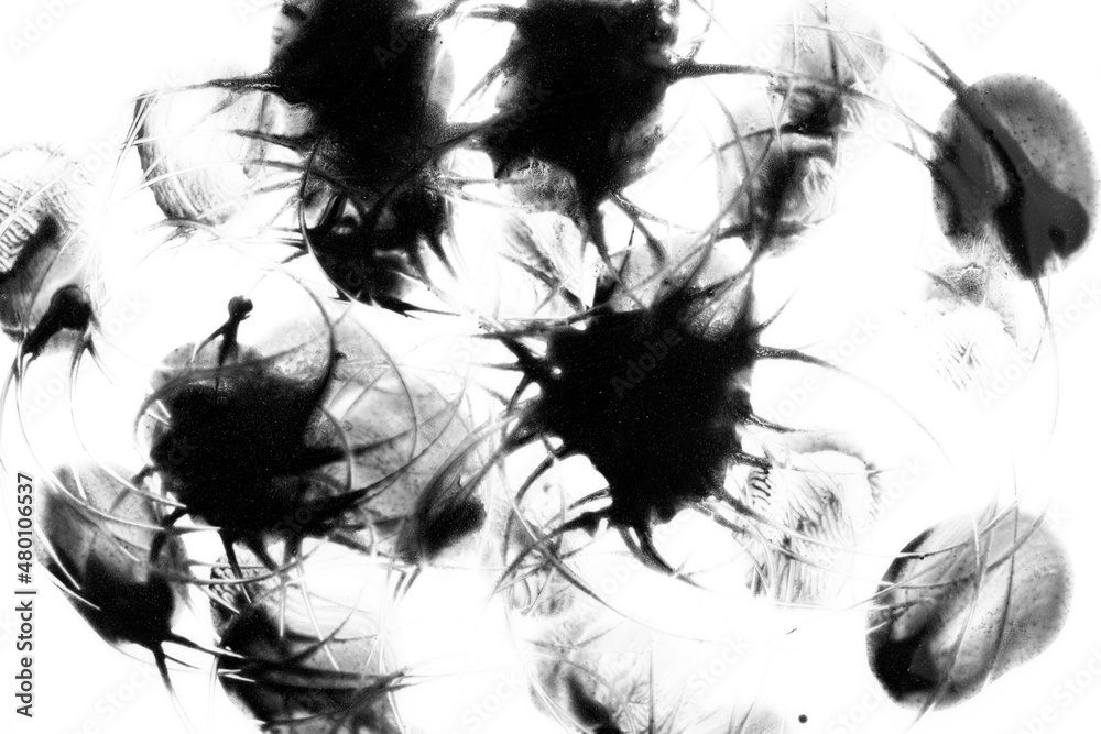 black drops of paint with stains on a white background black drops of paint with stains on a white background