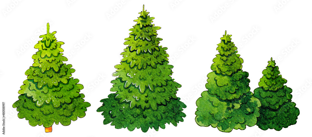Fototapeta premium Christmas tree on a white background. Watercolor illustration.