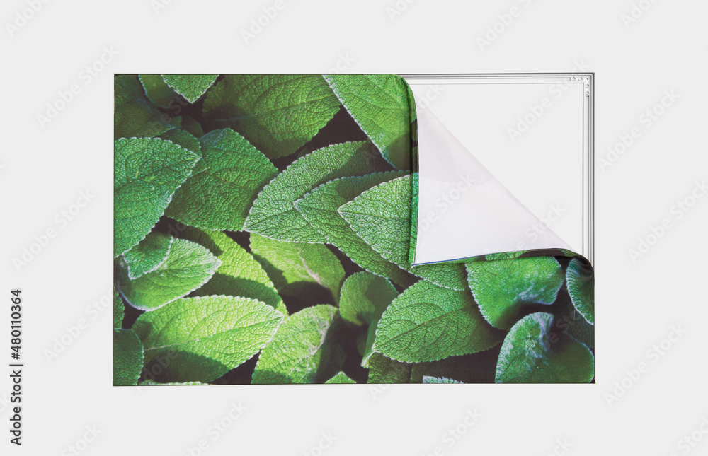 Picture frames for changing advertising.