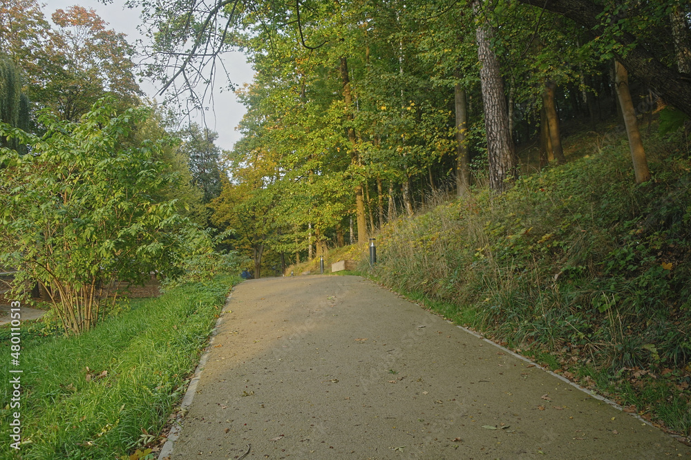 autumn forest in the Świętokrzyskie Mountains