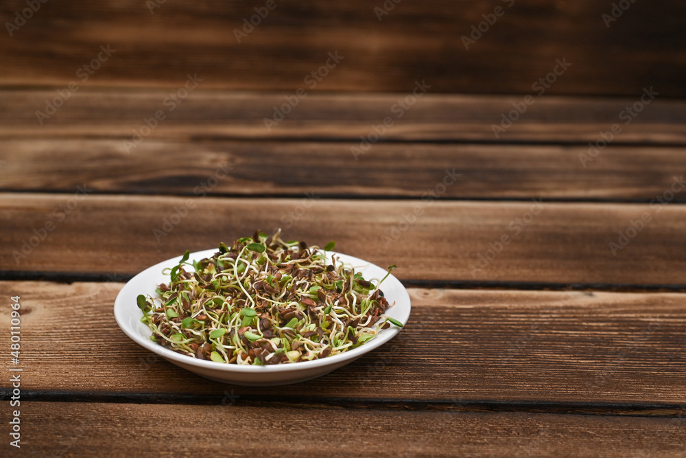 sprouted flax seeds on a natural wooden background in a plate. sprouted flax seeds on a natural wooden background in a plate.