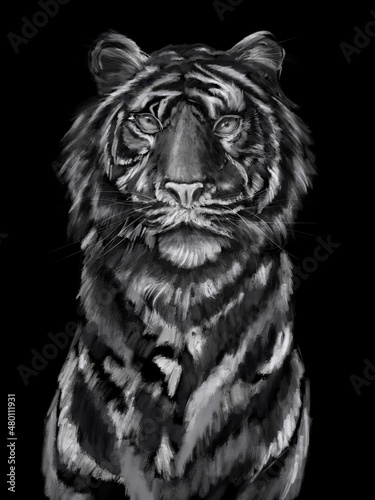  black and white tiger in oil style