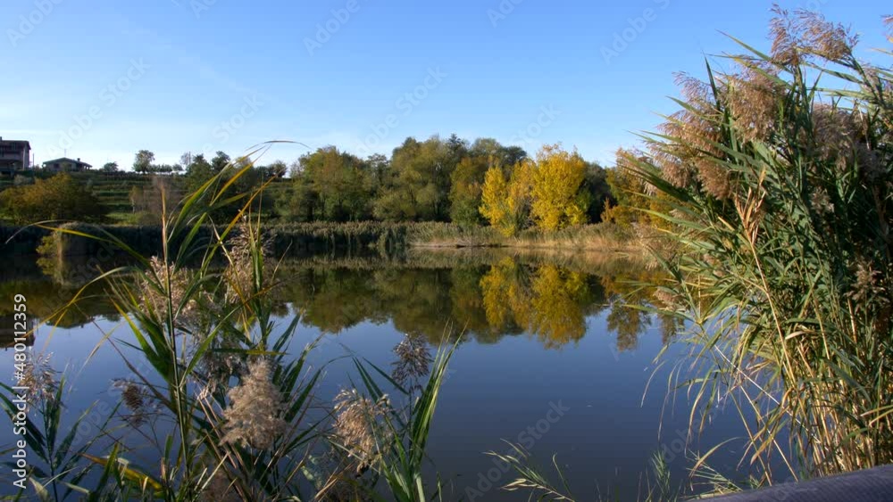 Beautiful landscape, lake with colorful trees in autumn season. Panning 4K Beautiful landscape, lake with colorful trees in autumn season. Panning 4K