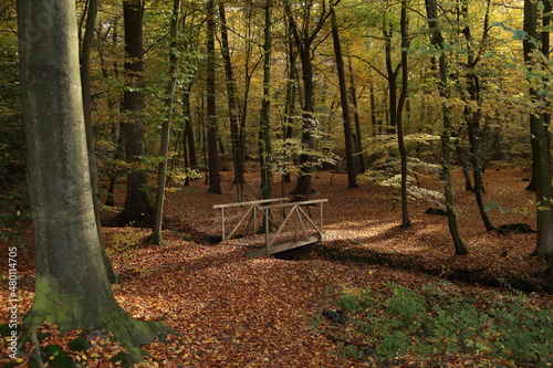 Friedwaldbrücke 21