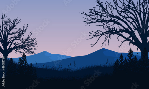 Stunning mountain view at sunrise with silhouettes of trees around