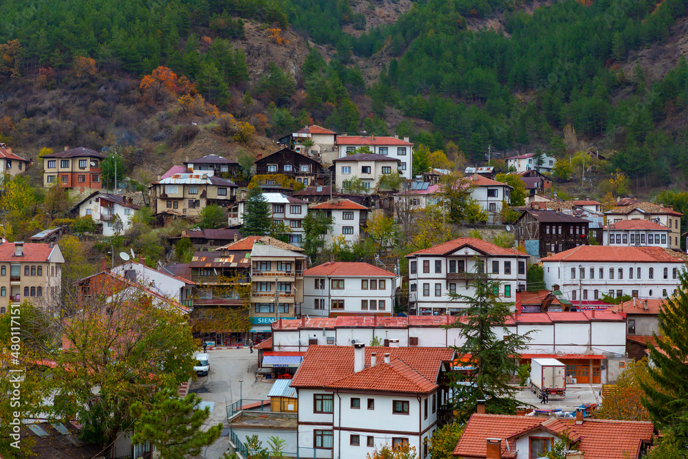 Historical old white small wooden houses of Mudurnu among mountains and trees.