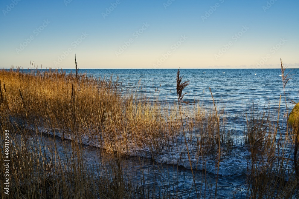 Boltenhagen Ostsee No People Natur
Outdoor

