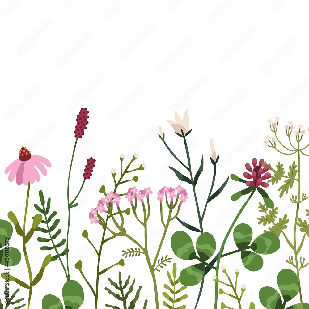 Floral border on square background. Botanical card with wild flowers and herbal plants. Backdrop with various delicate field and meadow wildflowers. Isolated colored flat vector illustration