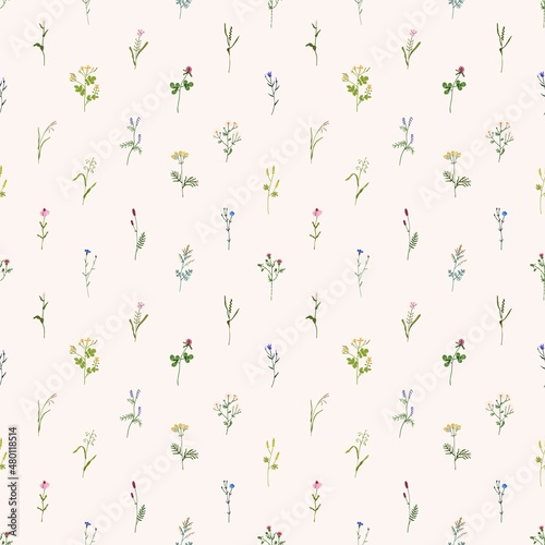 Wild flowers pattern. Seamless floral background with repeatable botanical print. Herbal blooms, plants, wildflowers backdrop design for wrapping and fabric. Colored flat vector illustration for decor