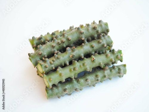 Tinospora cordifolia herb Thai on white background. closeup photo, blurred. photo