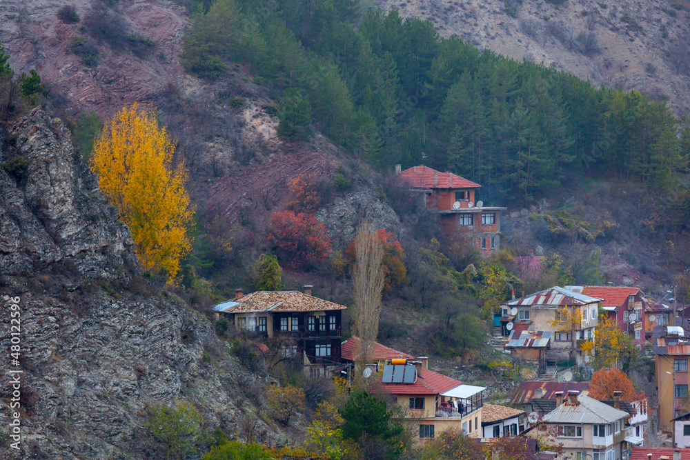 Historical old white small wooden houses of Mudurnu among mountains and trees.