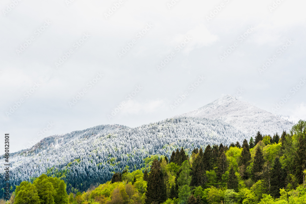Last spring snow on the Sutrio mountains. Carnia to discover
