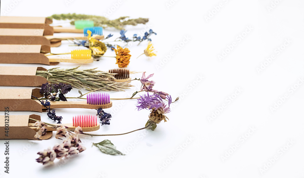 Multicolored bamboo toothbrushes with dried flowers. Zero wast wooden toothbrushes personal hygiene oral care accessories. Plastic free, eco friendly, sustainable lifestyle concept.