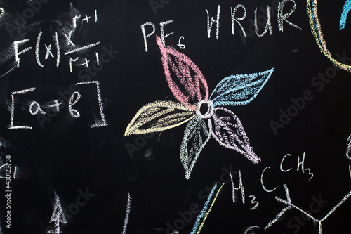 school board with chalked flowers