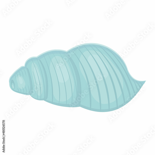 Color isolated seashell, isolated vector illustration in cartoon style
