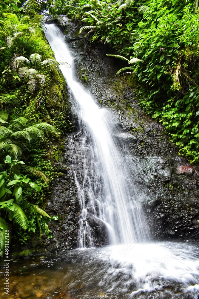 waterfall in the forest waterfall in the forest