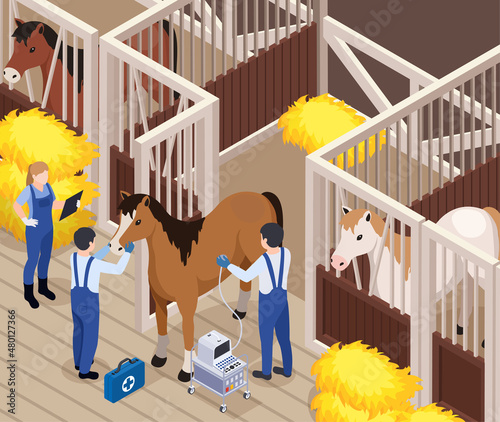 Horse Veterinary Isometric Composition