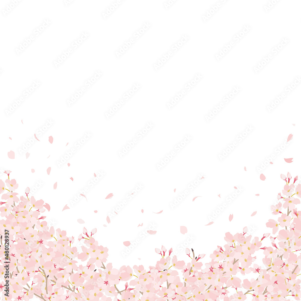 桜 花びら舞う 上にコピースペース 桜 花びら舞う 上にコピースペース