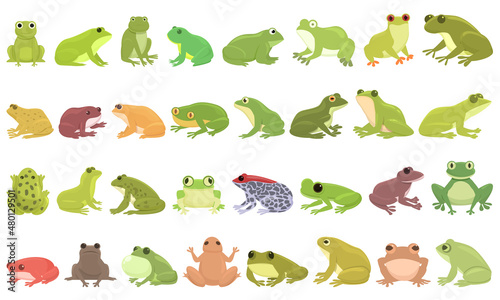 Frog icons set cartoon vector. Toad water. Tadpole catch photo