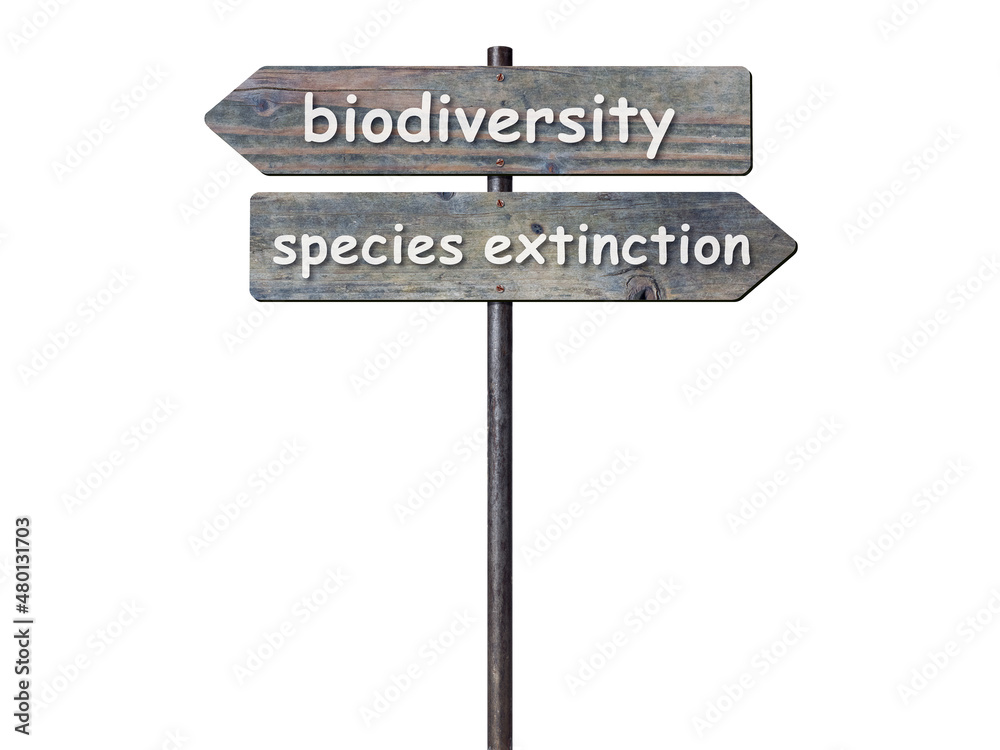 Wegweiser biodiversity - species extinction Wegweiser biodiversity - species extinction