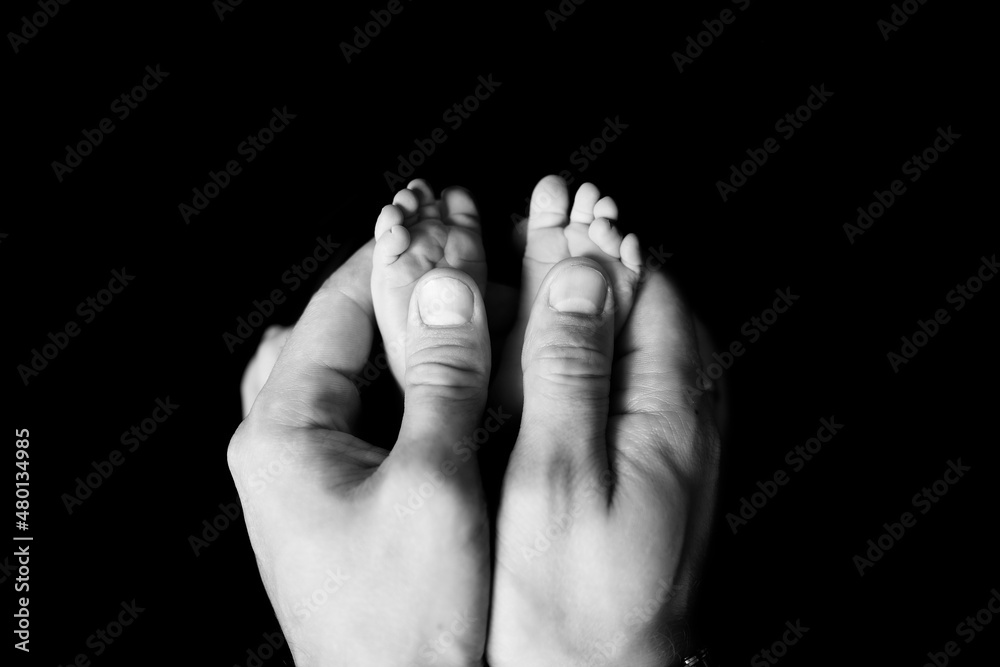 Newborn feet in father's hands black and white Newborn feet in father's hands black and white