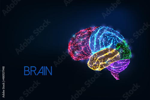 Futuristic glowing low polygonal colorful human brain with emphasized parts isolated on dark blue