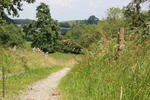 Idyllischer Feldweg
