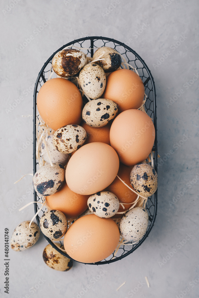 Eggs. Raw organic farm chicken and quail eggs in basket on gray stone background Eggs. Raw organic farm chicken and quail eggs in basket on gray stone background