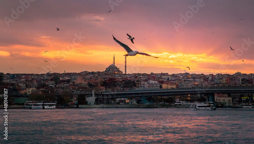 Sunset in Istanbul. Seagulls flying at dusk over the Bosphorus Strait
