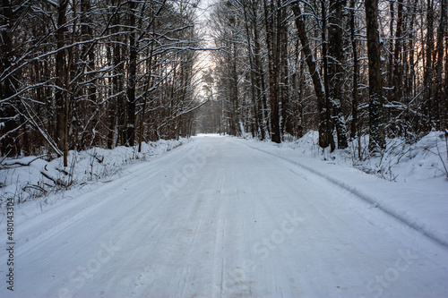 Snowy landscape, rural road in a forest. Snow all over. Winter snow cover the landscape.