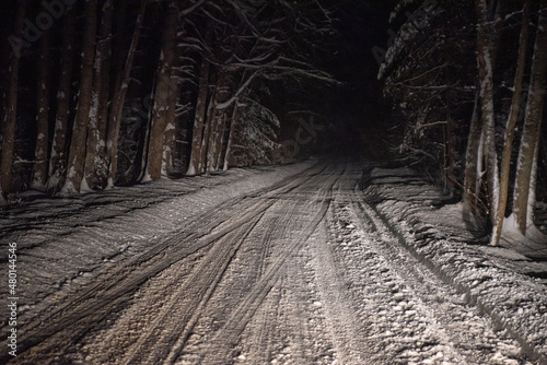 night winter landscape in the headlights from the car.winter travel