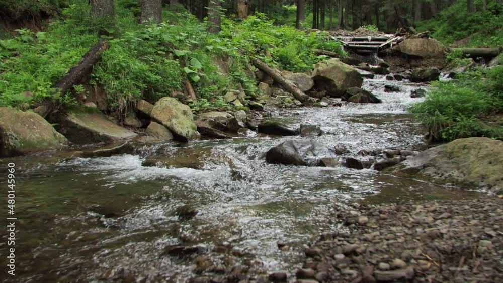 Background Mountain water A river a stream in the forest Background Mountain water A river a stream in the forest
