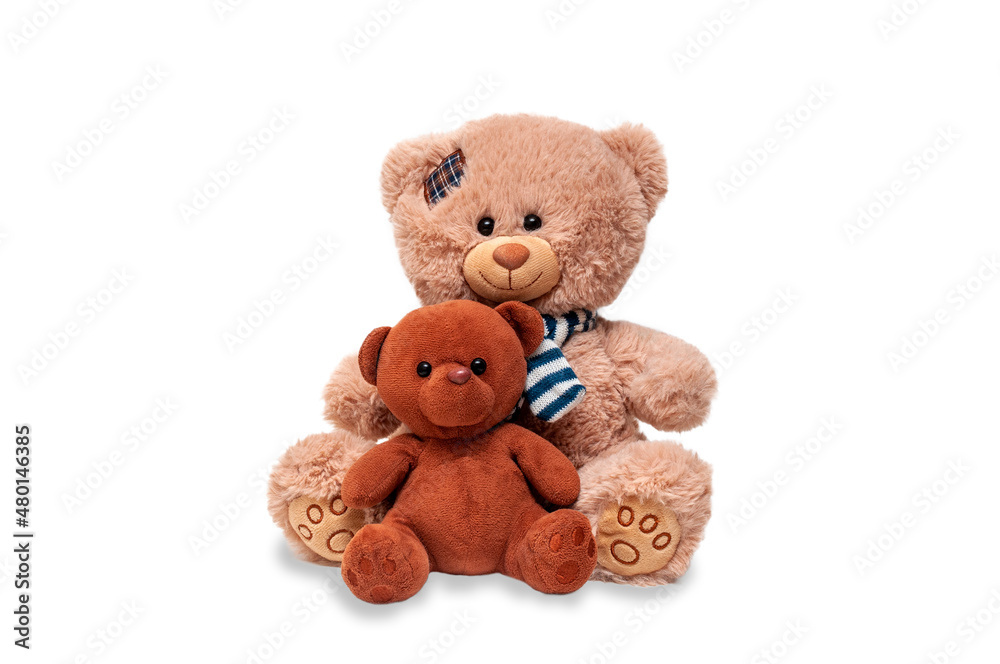 Fototapeta premium Isolated children's toys on a white background. Two teddy bears isolated on white background, cutout.