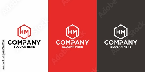Initial letter HM logo vector design template