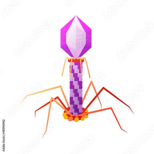 Color Bacteriophage Virus Composition